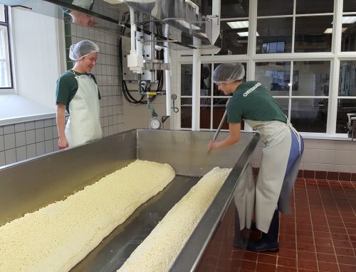 Holiday Cheesemaking at Shelburne Farms